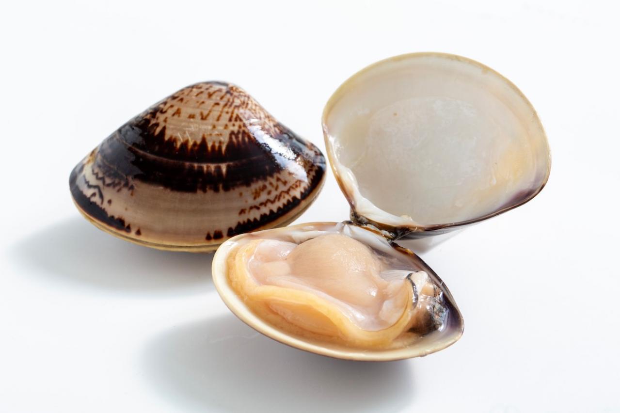 カレーを常温で放置すると菌が大繁殖!? 夏こそ危険が潜む【食中毒】の最新情報を公開！（画像2）