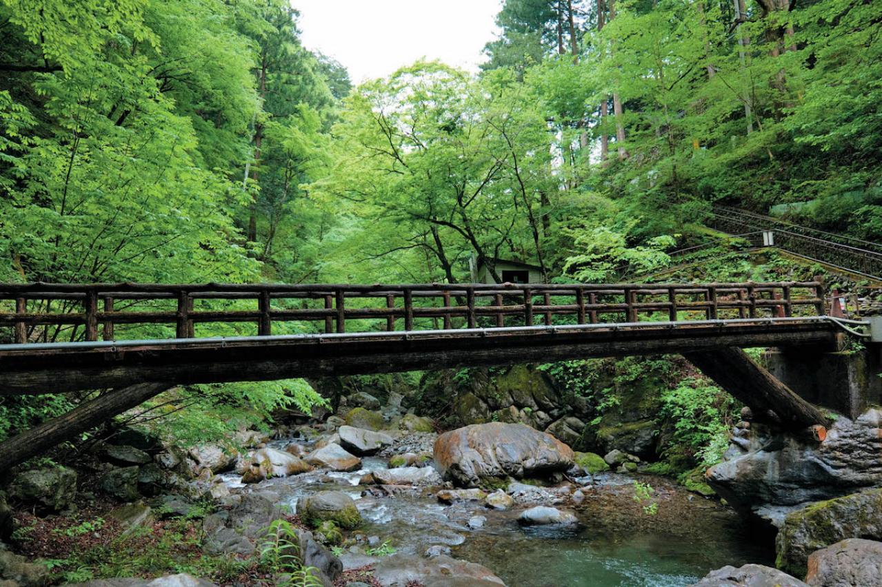 ひんやり・美しい【日本の鍾乳洞】4選｜旅のプロおすすめの真夏の避暑スポット（画像4）