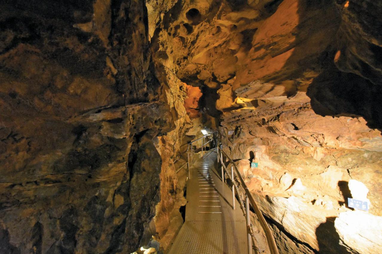 ひんやり・美しい【日本の鍾乳洞】4選｜旅のプロおすすめの真夏の避暑スポット（画像7）