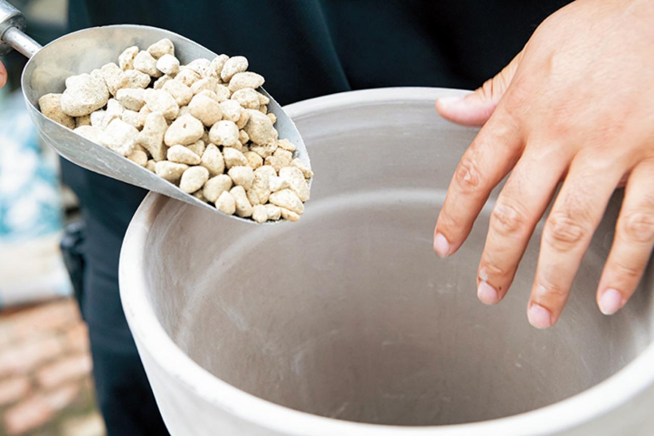 【ガーデニング】初心者でも簡単に作れる「3A」寄せ植えとは？ 夏じゅう楽しめて手入れもラク！（画像7）