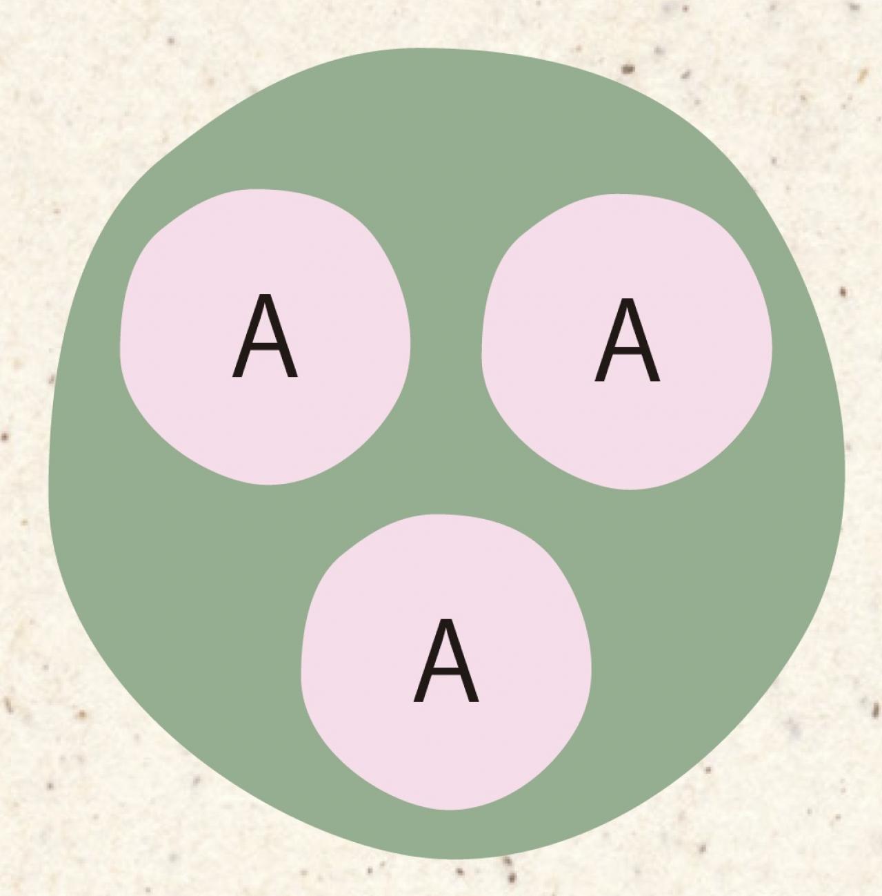 【ガーデニング】初心者でも簡単に作れる「3A」寄せ植えとは？ 夏じゅう楽しめて手入れもラク！（画像5）