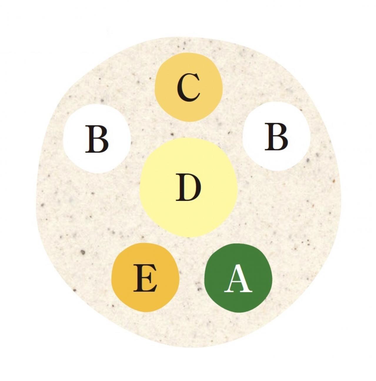 【ガーデニング】YouTubeで大人気のオニちゃん直伝！ 夏の日差しに映えるイエローの花の寄せ植え（画像6）