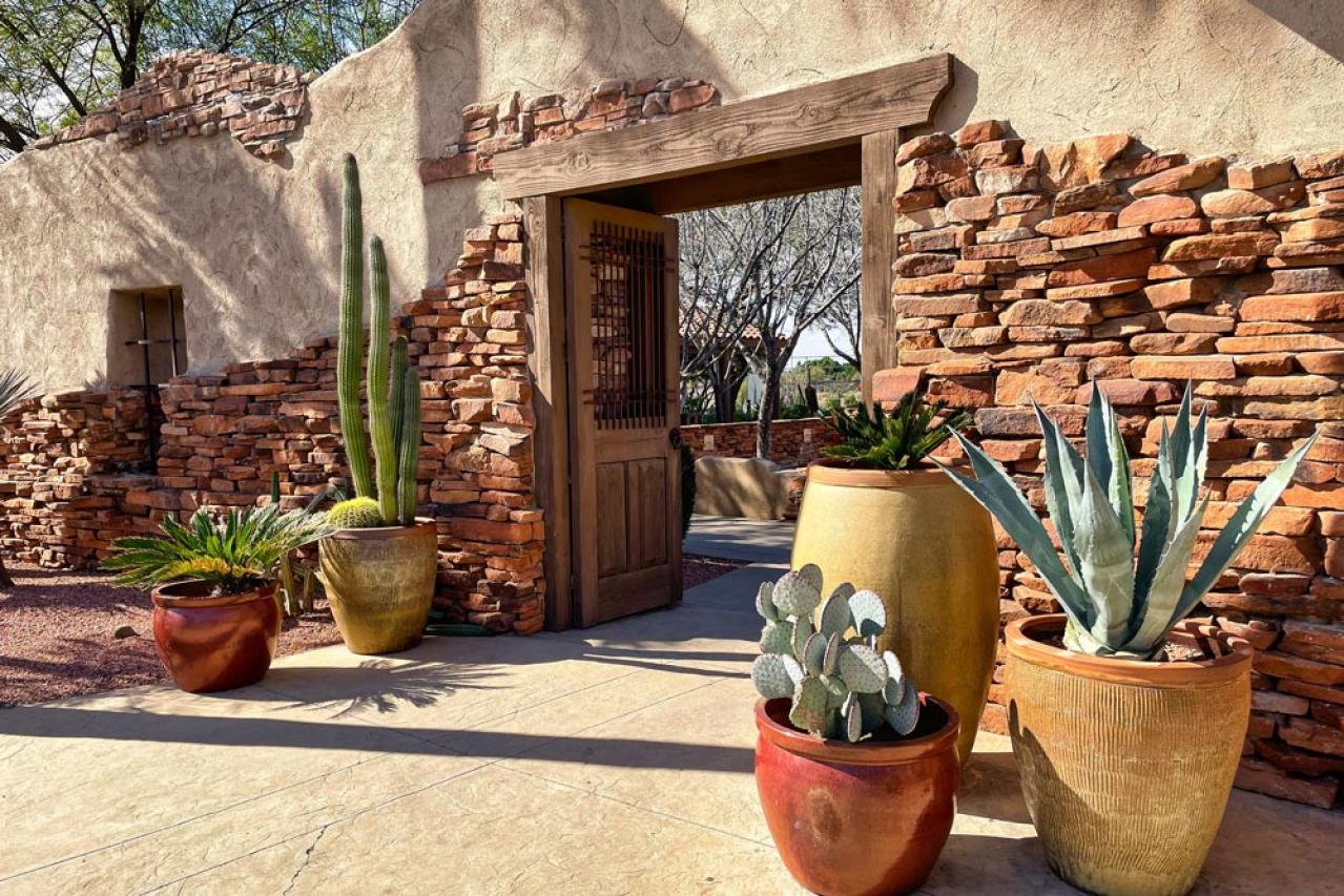 【ガーデニング】かっこいいドライガーデンにおすすめ！乾燥に強い植物［8選］（画像4）