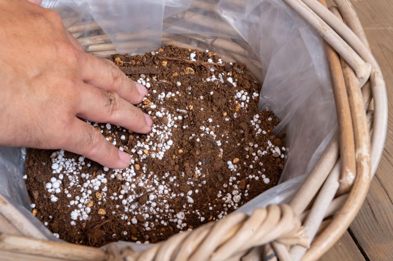 【ガーデニング】見るだけで元気をもらえる！ レッド、イエロー、オレンジの花の「夏の寄せ植え」（画像8）