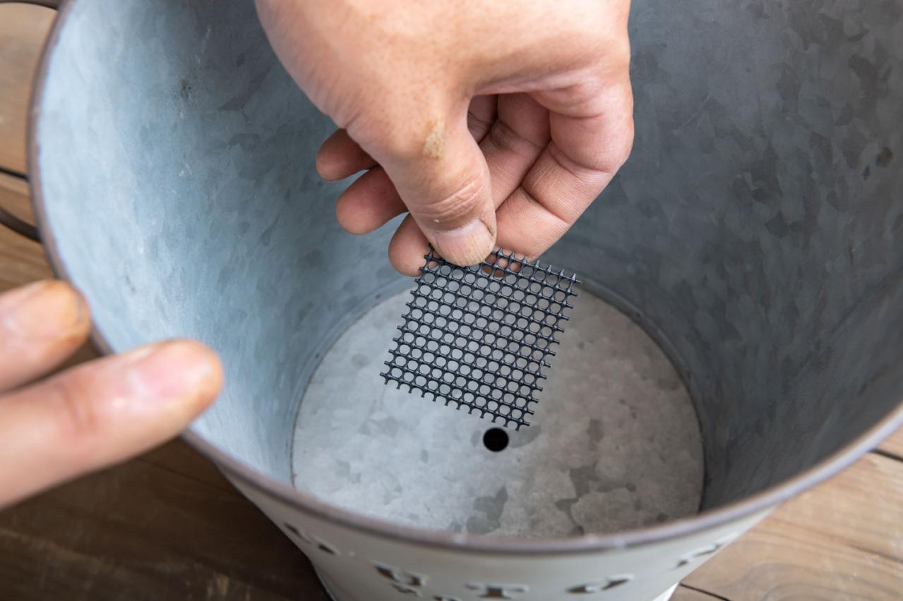 ガーデニング【富田英明さんの寄せ植え】初心者でも上手に作れる！ ブルー、パープルで涼しげな夏のコンテナ（画像6）