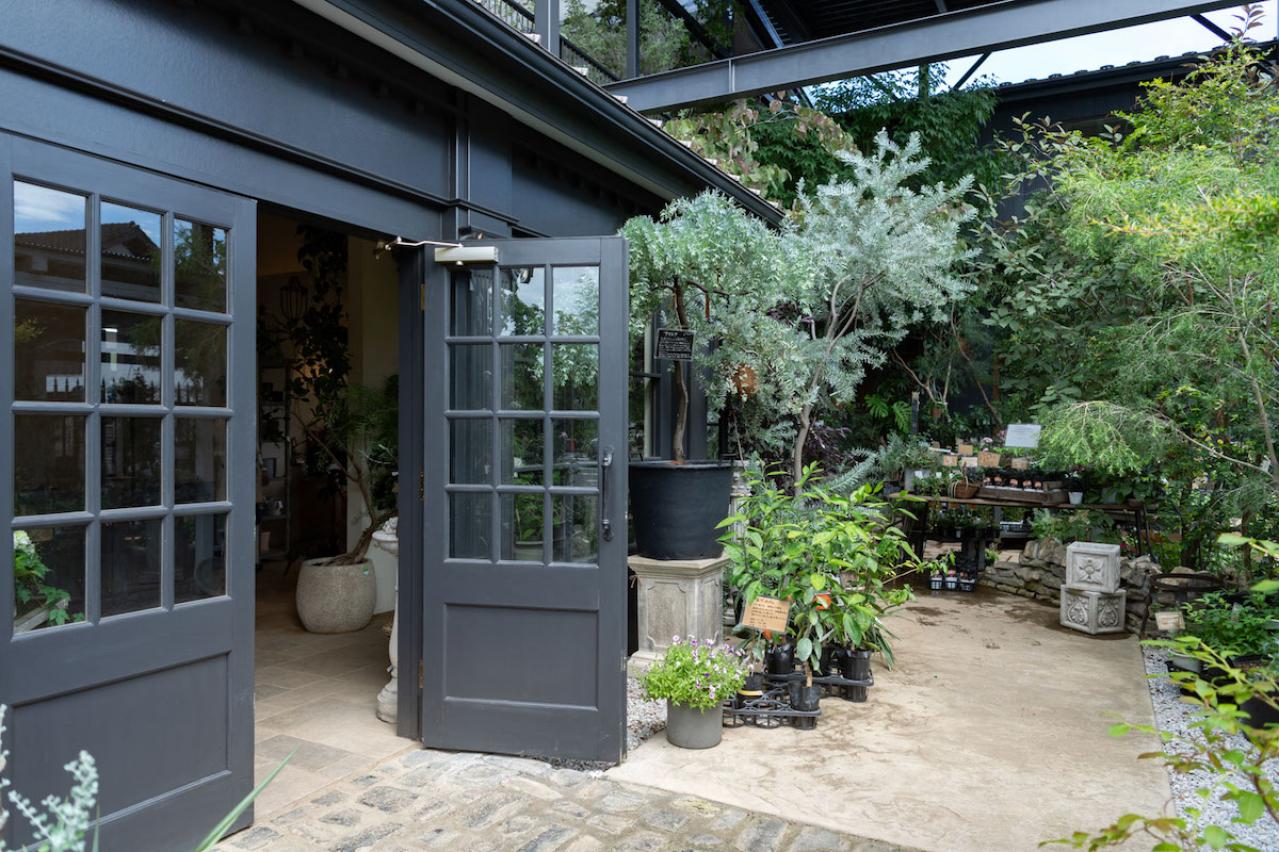 ガーデニング【富田英明さんの寄せ植え】初心者でも上手に作れる！ ブルー、パープルで涼しげな夏のコンテナ（画像21）