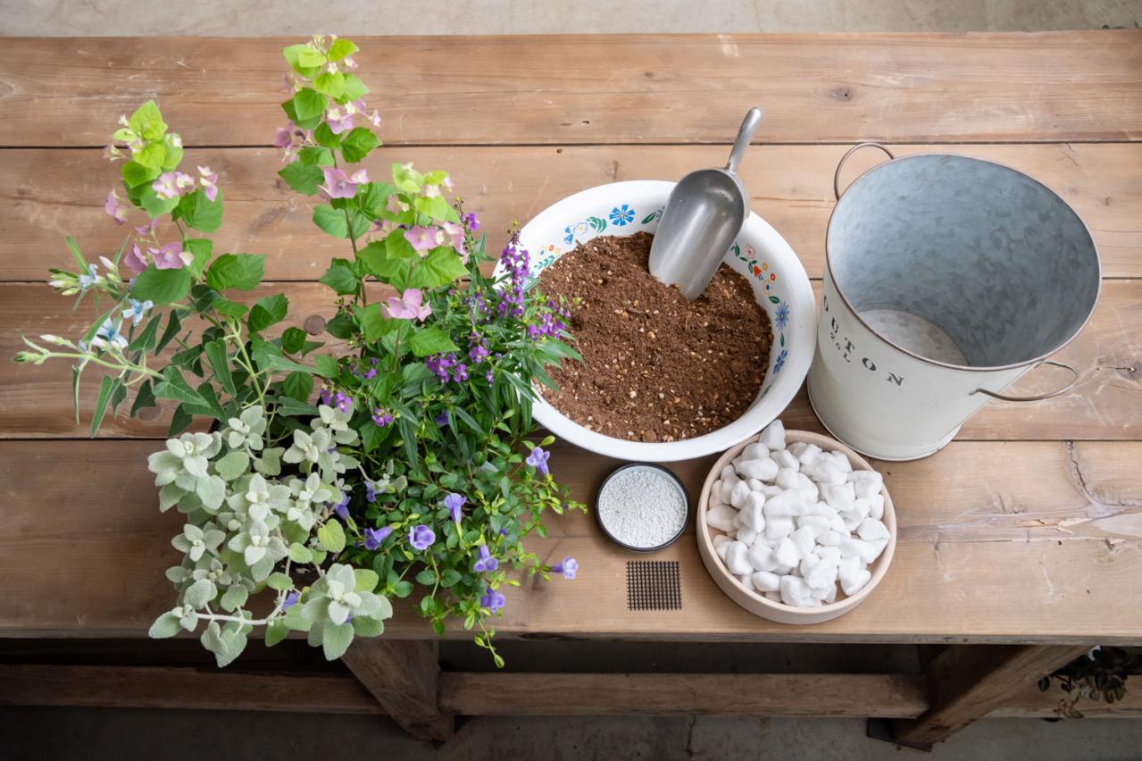 ガーデニング【富田英明さんの寄せ植え】初心者でも上手に作れる！ ブルー、パープルで涼しげな夏のコンテナ（画像5）