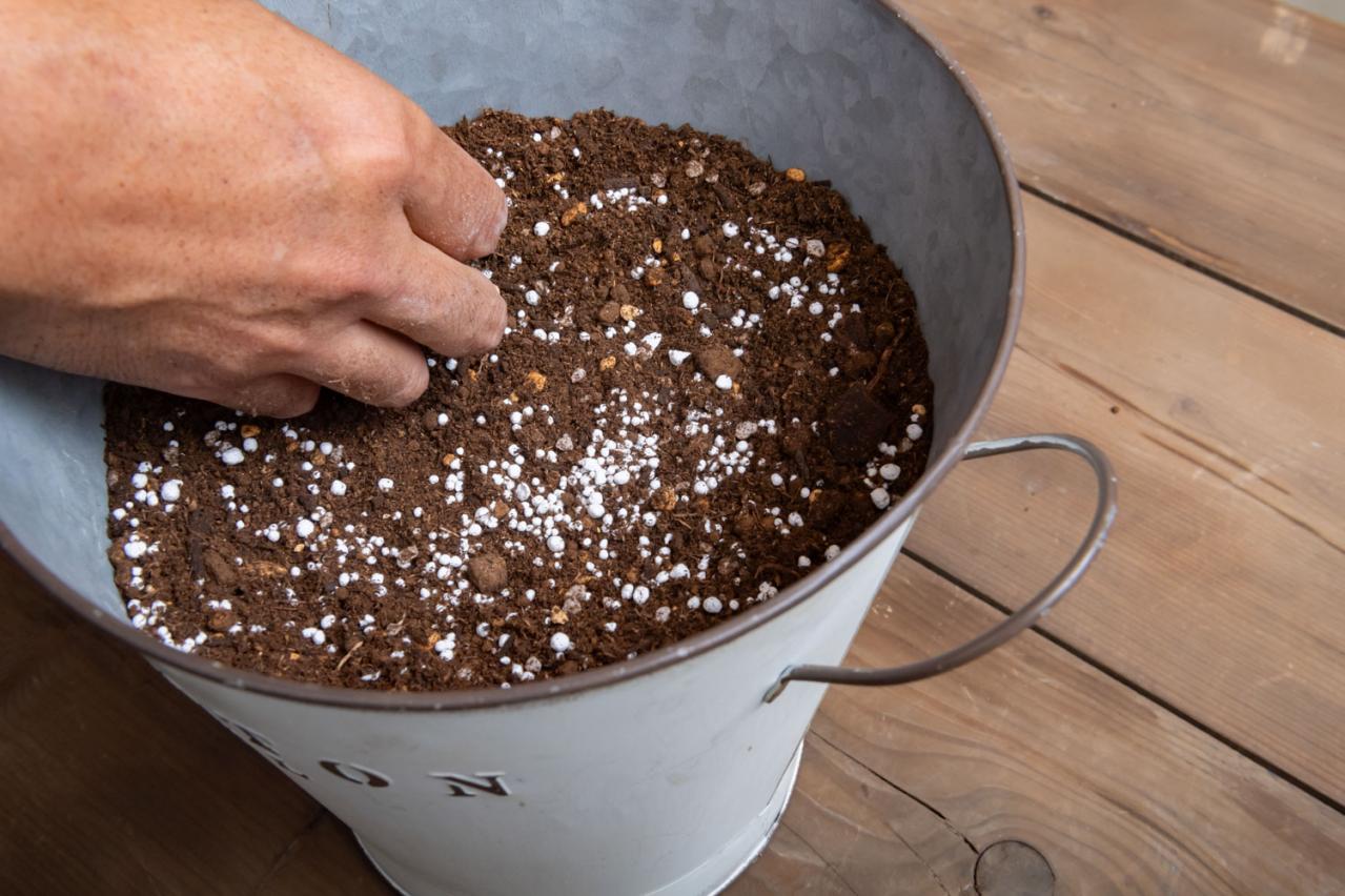 ガーデニング【富田英明さんの寄せ植え】初心者でも上手に作れる！ ブルー、パープルで涼しげな夏のコンテナ（画像9）