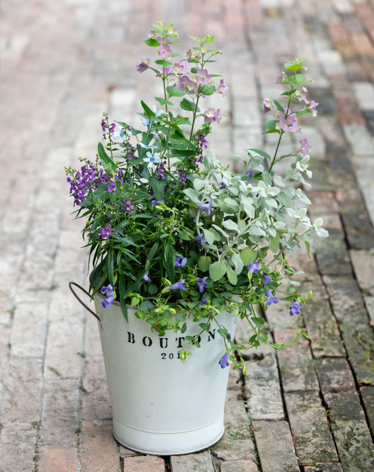 ガーデニング【富田英明さんの寄せ植え】初心者でも上手に作れる！ ブルー、パープルで涼しげな夏のコンテナ（画像20）