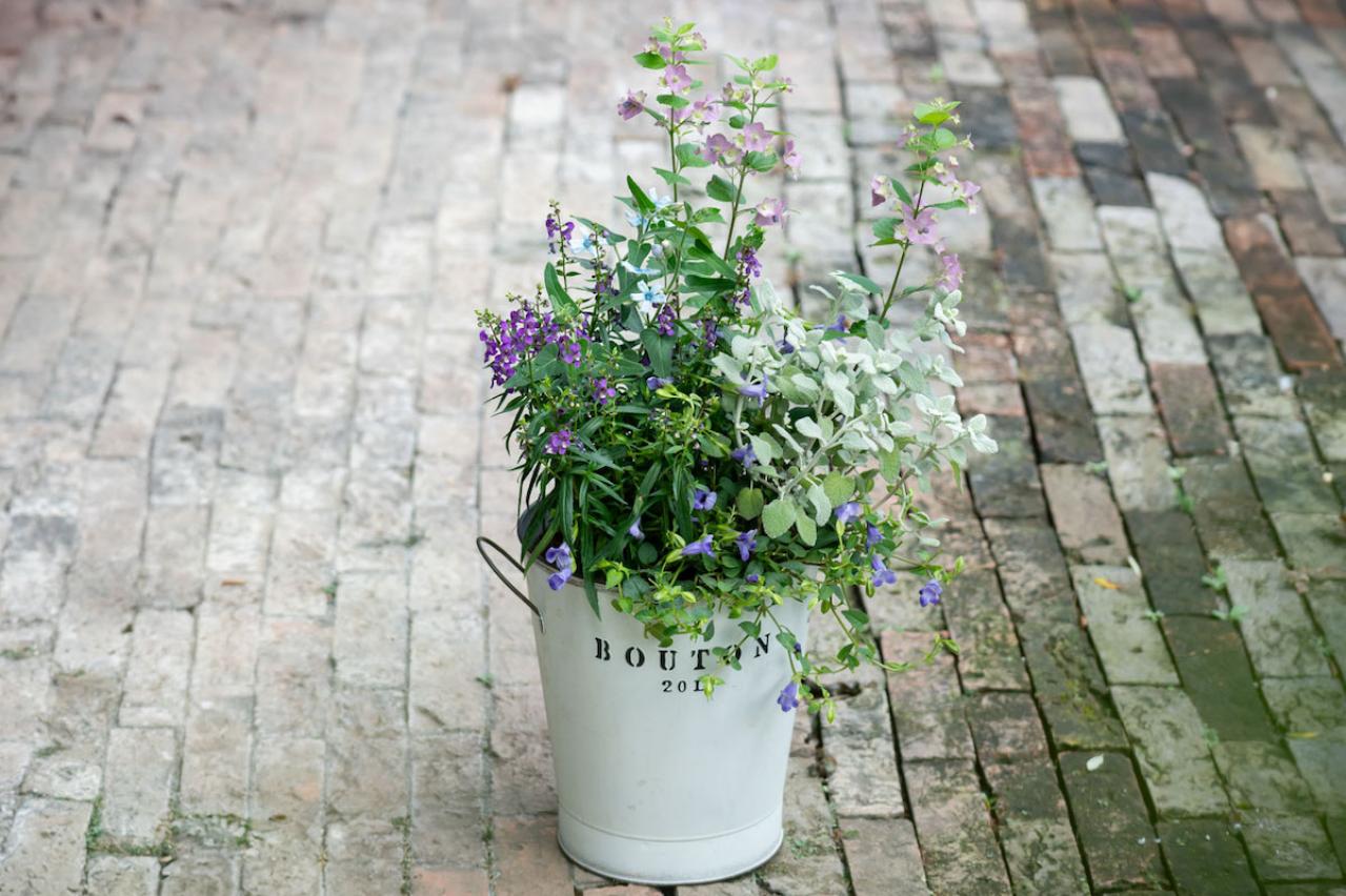 ガーデニング【富田英明さんの寄せ植え】初心者でも上手に作れる！ ブルー、パープルで涼しげな夏のコンテナ