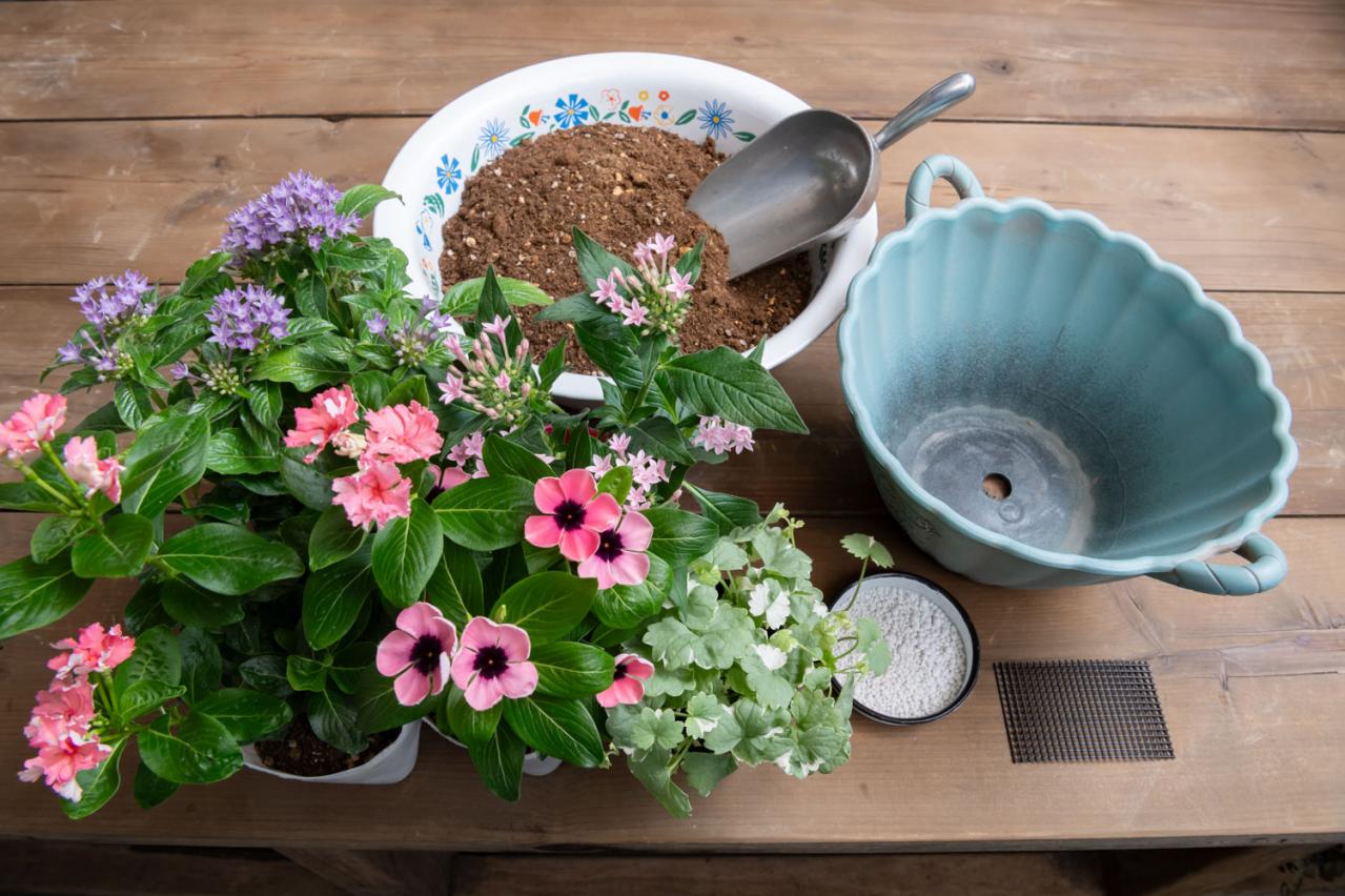 【ガーデニング】ピンクでまとめてロマンチックな印象！ニチニチソウ、ペンタスが主役の「夏の寄せ植え」（画像4）