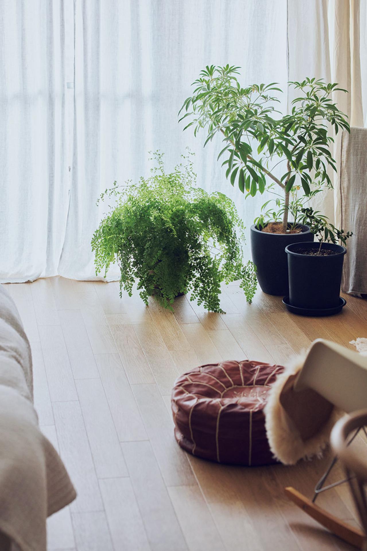 ネガティブな気持ちが「ありがとうに変わる」習慣とは？工芸ブランドのショップスタッフのお部屋拝見（画像3）