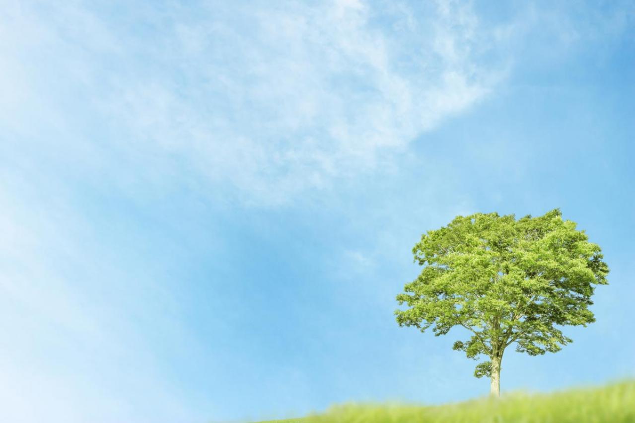 イラッとしたときに、即、実践したい【息の吐き方】とは？禅僧 枡野俊明さんに学ぶ