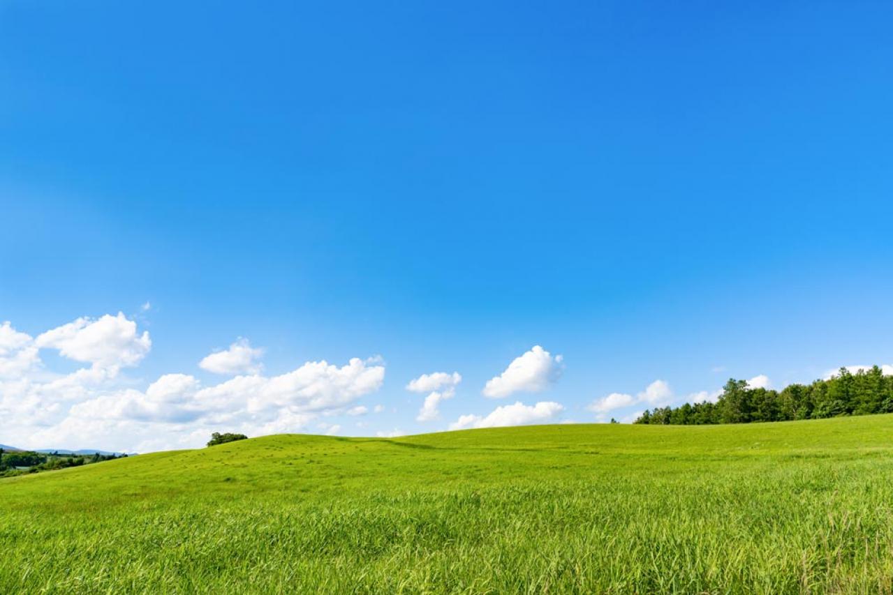 物を持つほど、満たされなくなる？ 禅僧 枡野俊明さんに学ぶ“心の整理術”（画像3）