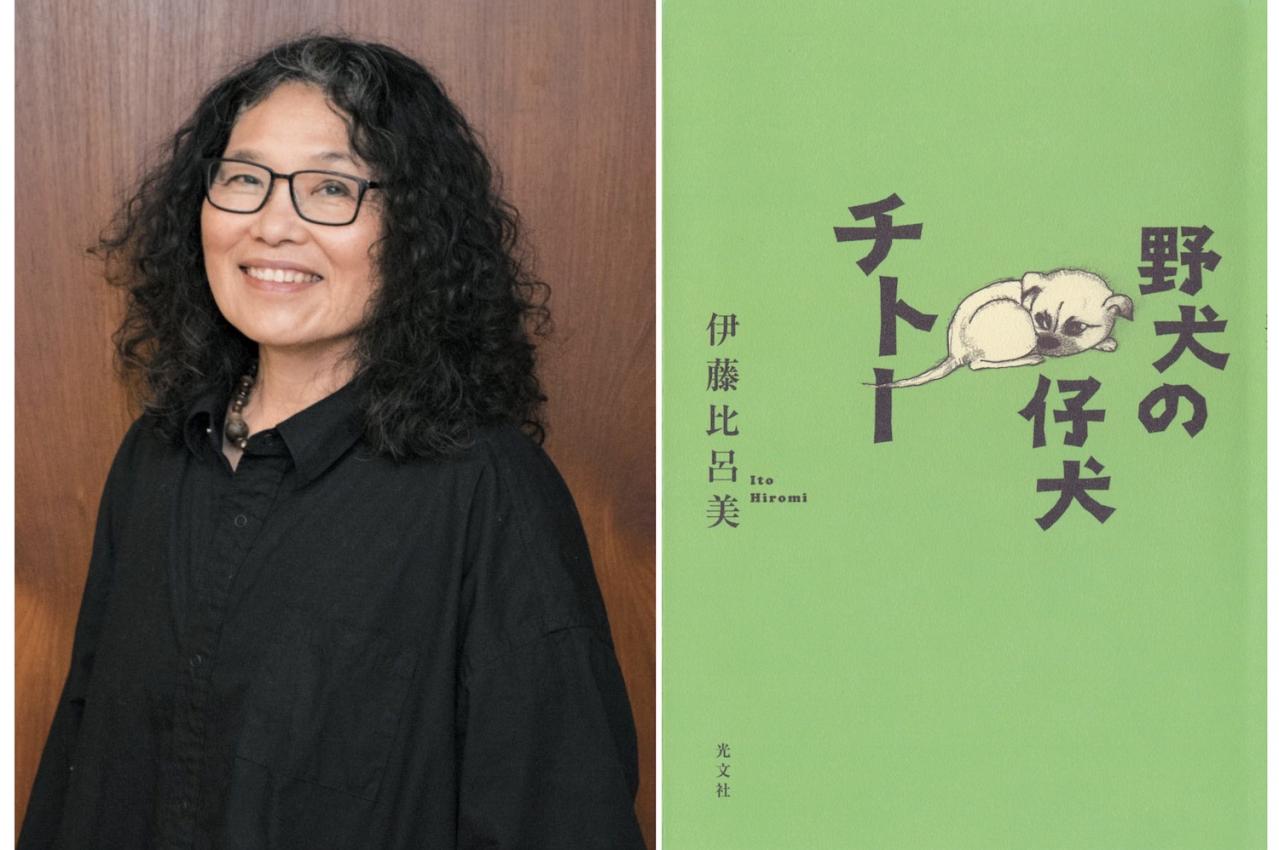 伊藤比呂美さん最新作】60代で初めての一人暮らし。 ぽかんと空いた「何か」を埋めてくれた存在とは？『野犬の仔犬チトー』 | ゆうゆうtime