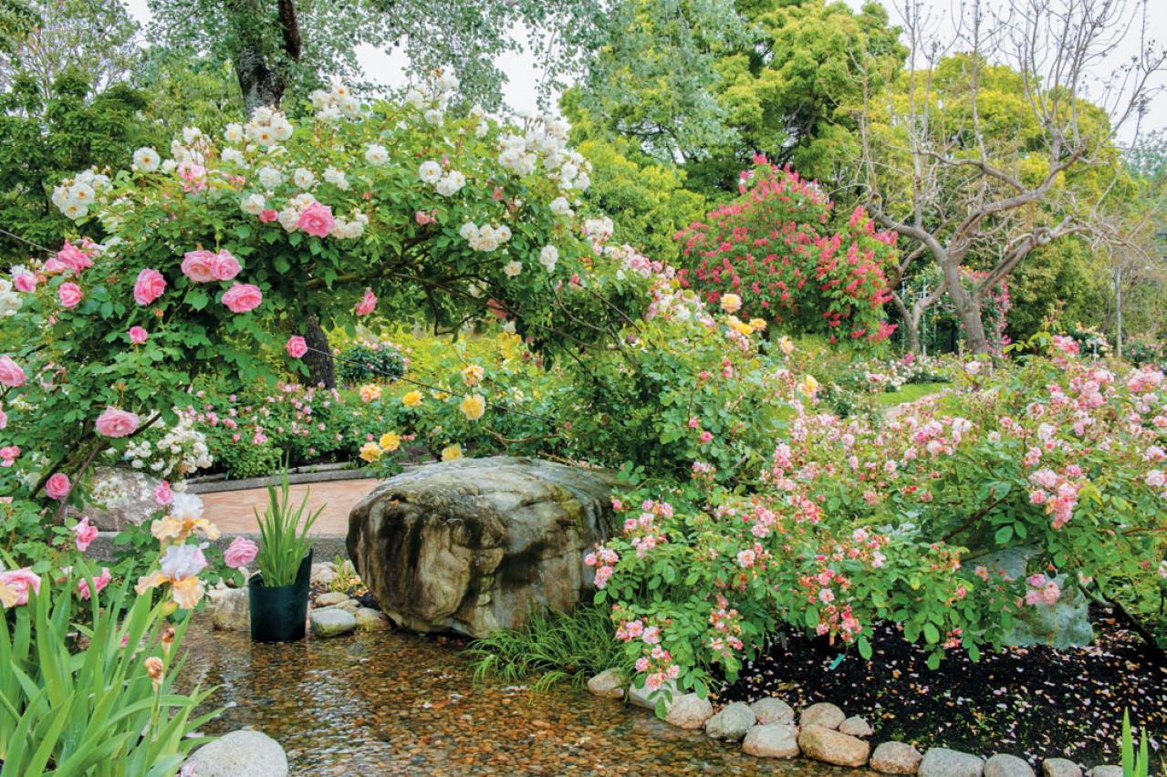 【秋の花を愛でる旅】いつ訪れても花の見頃に出合える「西日本のガーデン」2選（画像4）