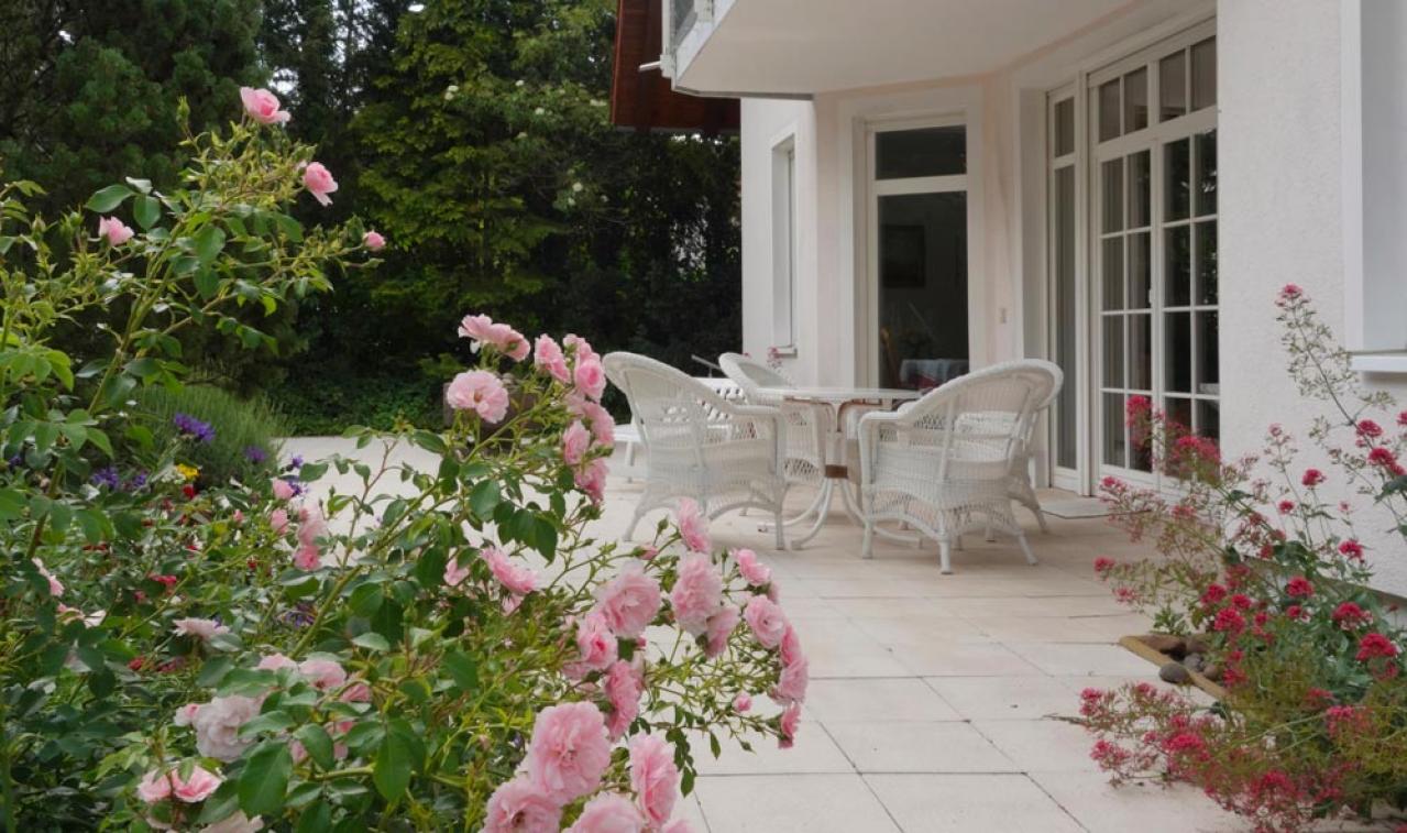 【ガーデニング】秋バラを華やかに咲かせる！初心者必見の夏剪定方法とポイント（画像3）