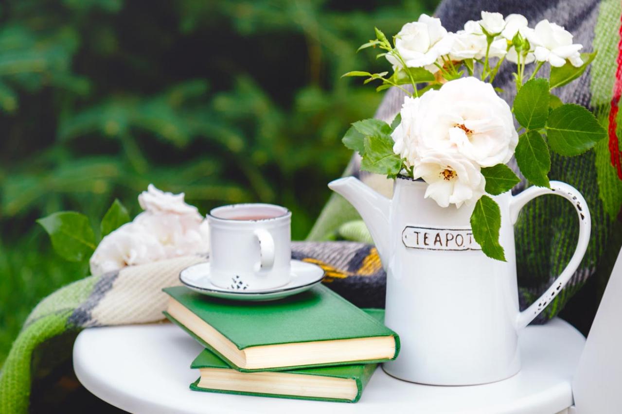 【ガーデニング】秋バラを華やかに咲かせる！初心者必見の夏剪定方法とポイント