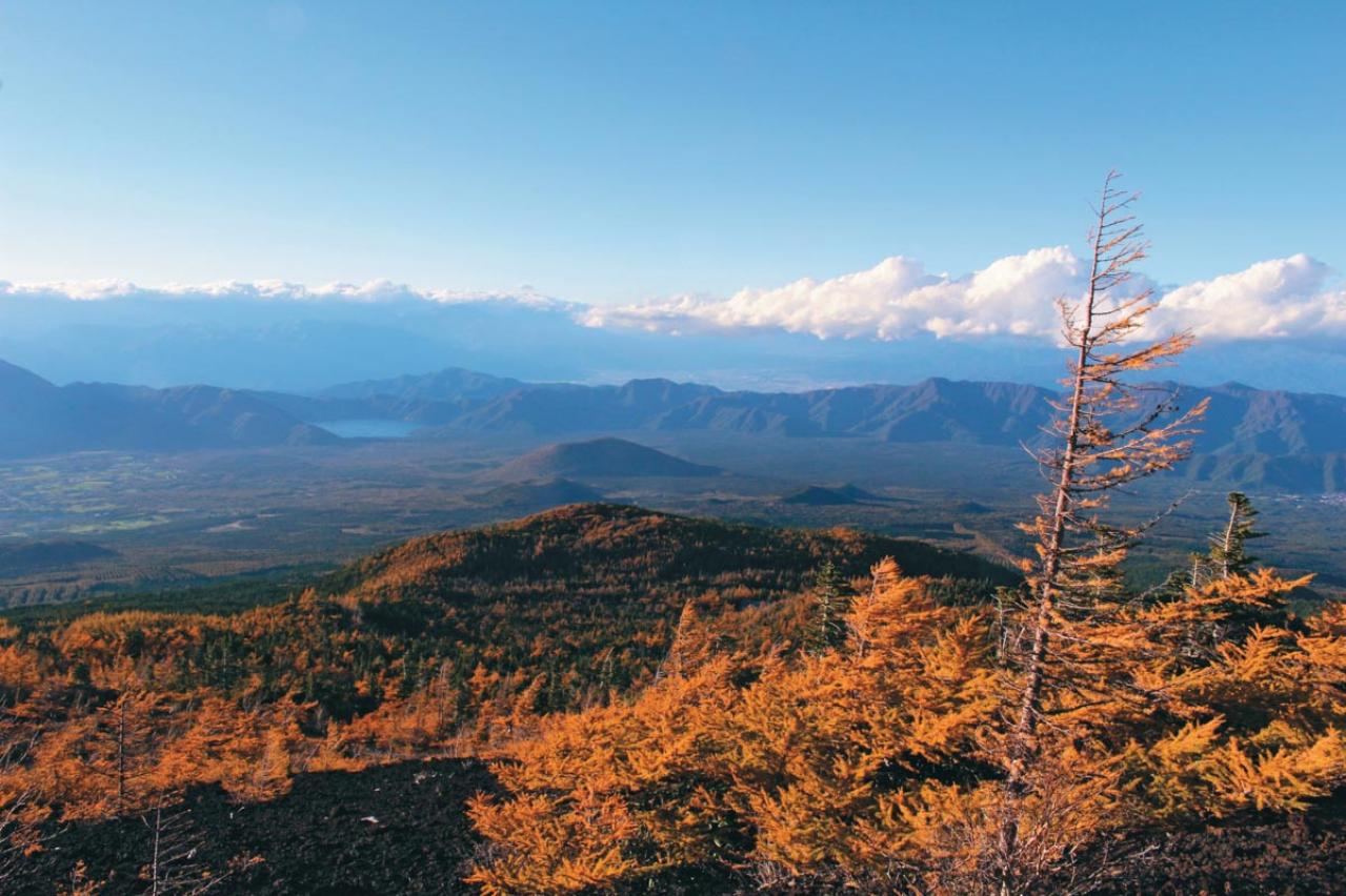 1時間半で歩ける【紅葉ハイキング】初心者にもおすすめの山のコース2選（画像7）