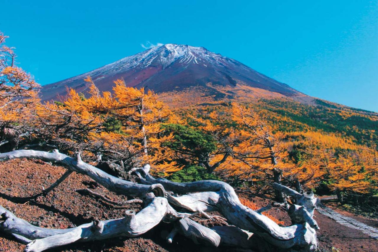 1時間半で歩ける【紅葉ハイキング】初心者にもおすすめの山のコース2選（画像6）