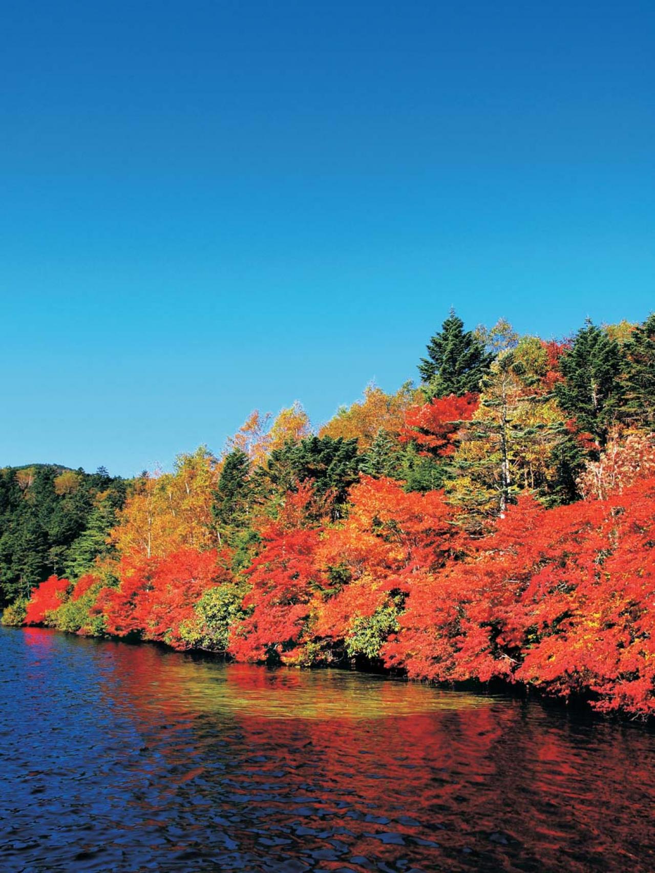 【紅葉ハイキング】絶景とおいしいグルメにも出合える長野の散策コース2選（画像3）