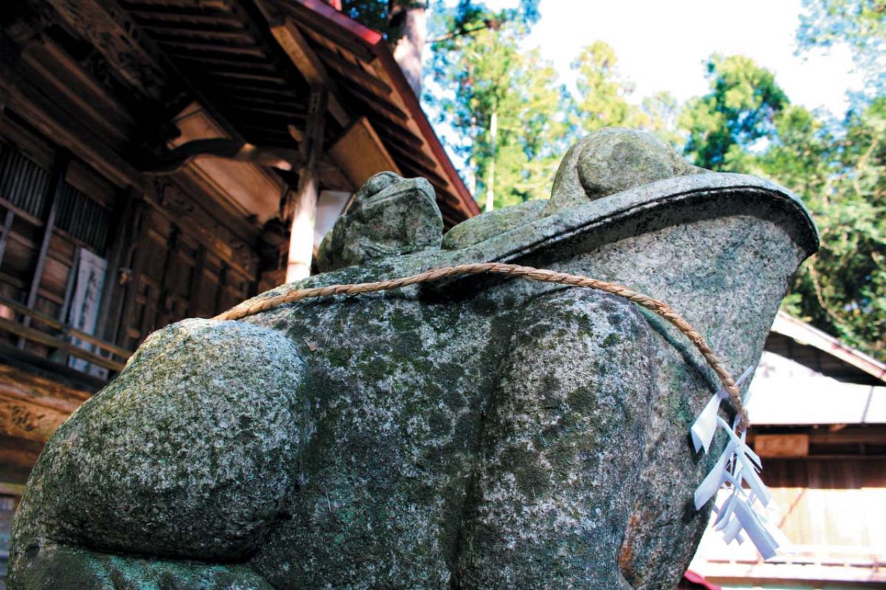 連休少し足をのばしてみては？【紅葉ハイキング】水の絶景も！ 清流沿いを歩く関東のコース2選（画像4）