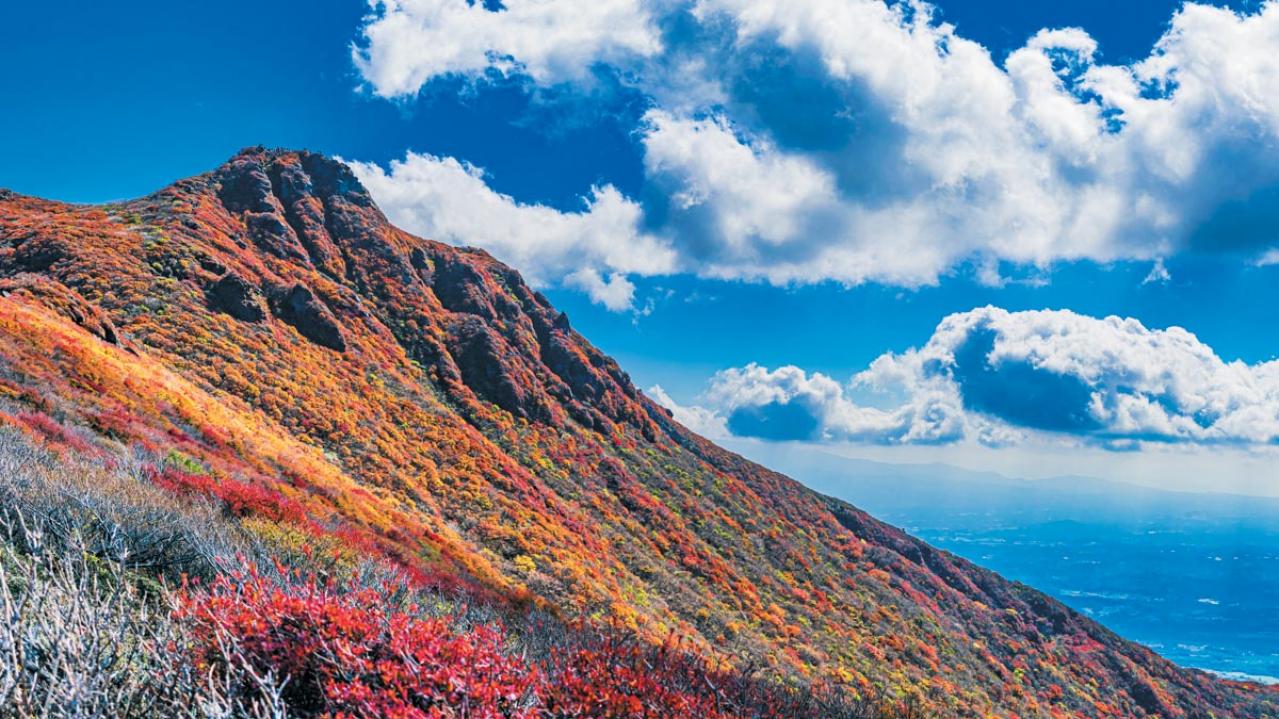 【紅葉ハイキング】山頂からの景色が圧巻！ 4時間以内で往復できる登山コース2選（画像4）
