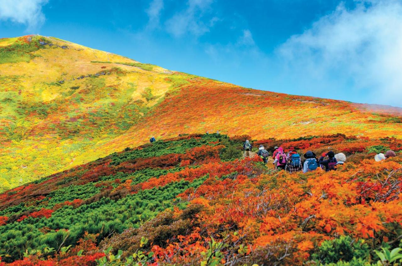 【紅葉ハイキング】山頂からの景色が圧巻！ 4時間以内で往復できる登山コース2選（画像5）