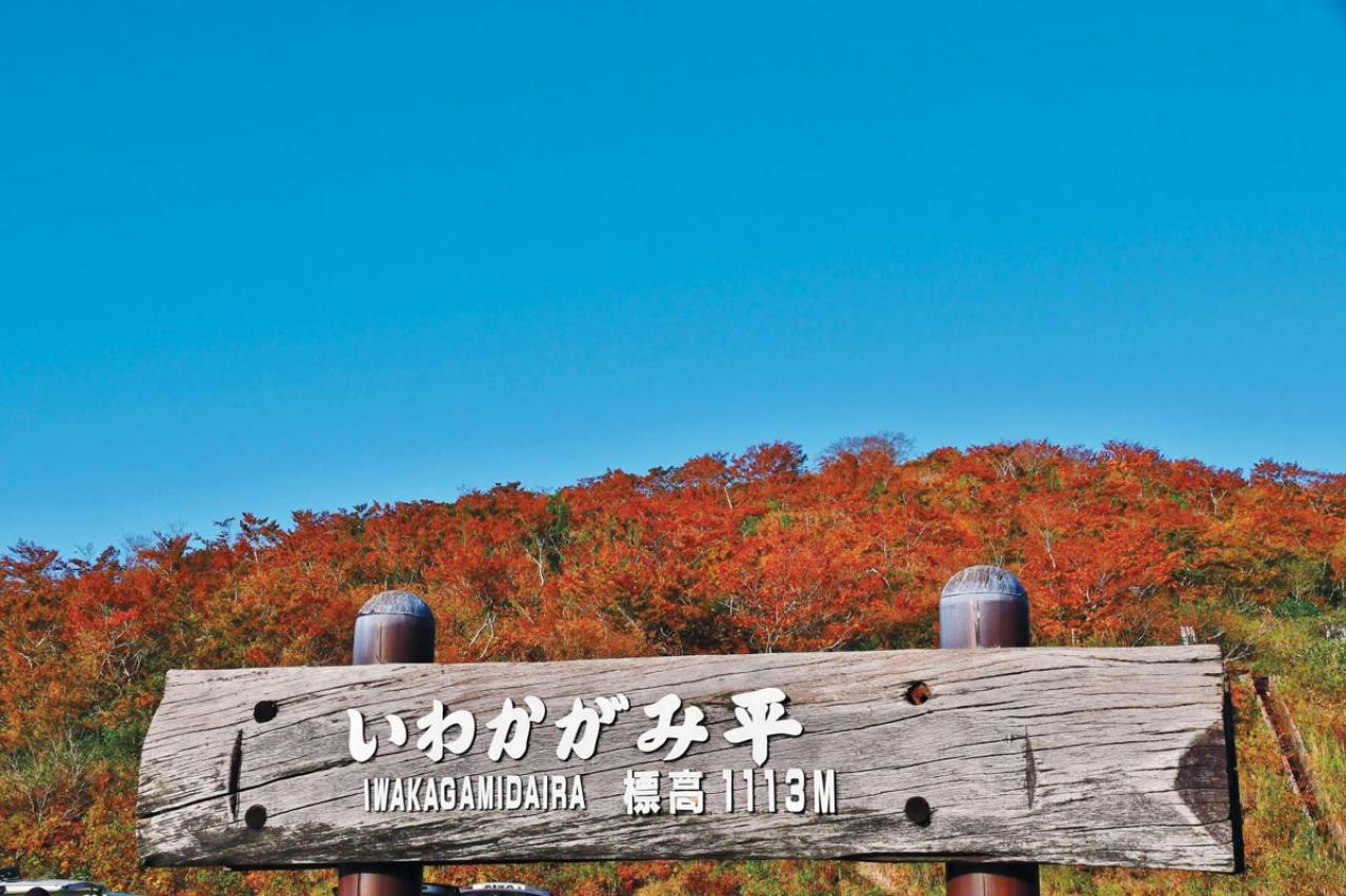【紅葉ハイキング】山頂からの景色が圧巻！ 4時間以内で往復できる登山コース2選（画像6）