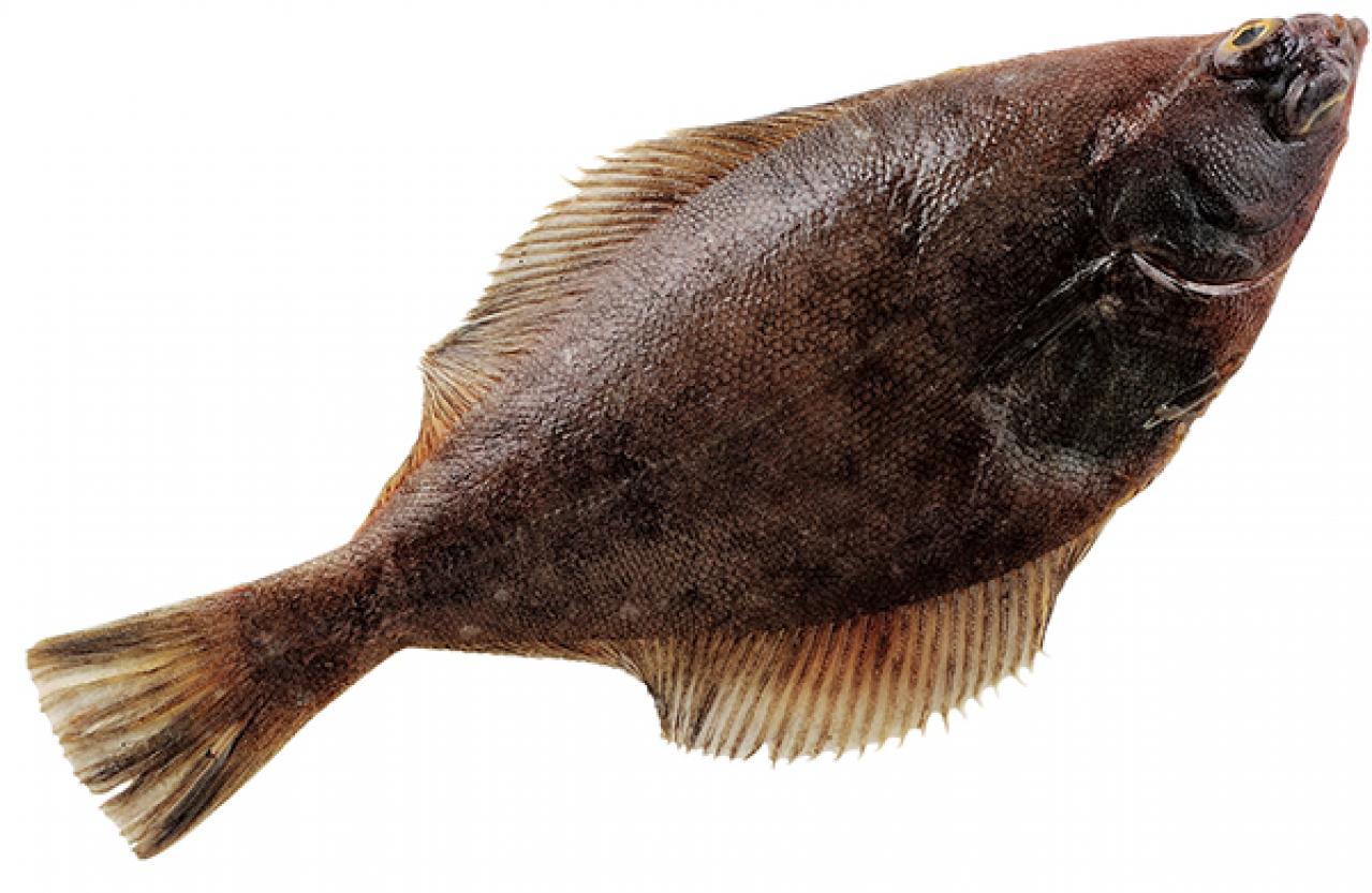 美容にうれしい【かれいの煮つけ】ビタミンとコラーゲンを余すことなくとるコツとは？（画像2）