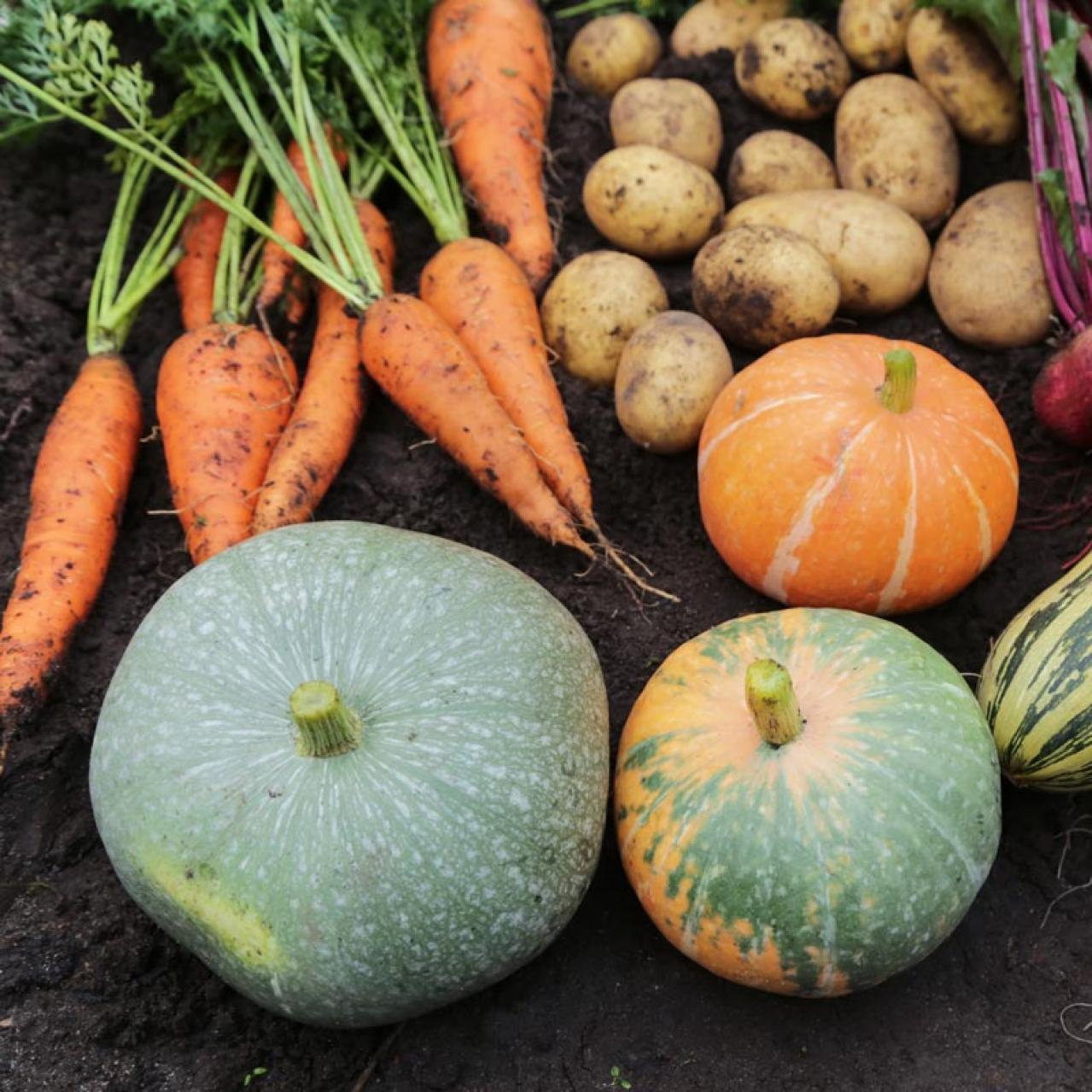 「野菜をゆでてしまっている人」必見！知らないと損する栄養を捨てない大原則とは？（画像4）