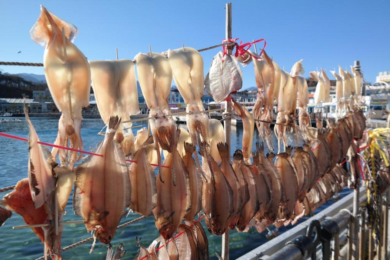 【秋の童話】ジュンソ（ソン・スンホン）の優柔不断さは「海のはじまり」の夏（目黒蓮）に通じるものを感じる7〜12話【韓国ドラマ】（画像3）