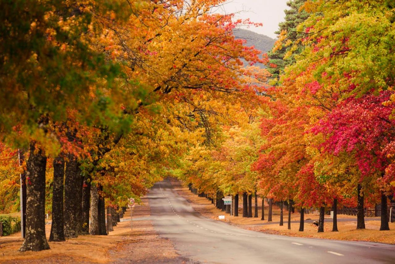 【秋の童話】ジュンソ（ソン・スンホン）の優柔不断さは「海のはじまり」の夏（目黒蓮）に通じるものを感じる7〜12話【韓国ドラマ】（画像2）