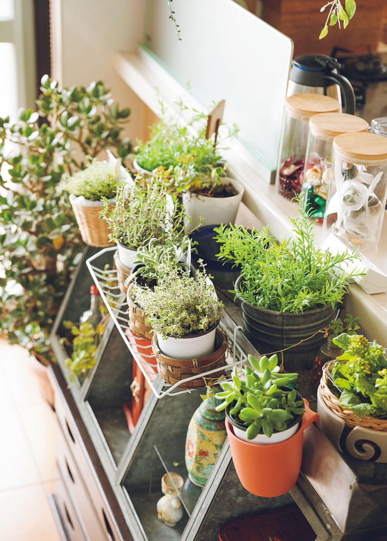 「買わずに済む方法を考える！」50代・生活費は月12万円のブロガー流【お金との付き合い方9つのルール】とは？（画像10）