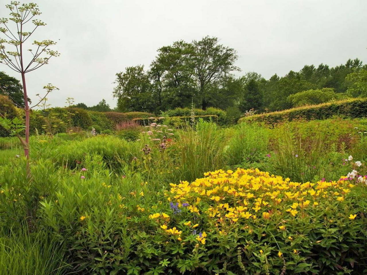【秋のナチュラルガーデン】宿根草［8選］でおしゃれで植えっぱなしの庭づくり（画像2）