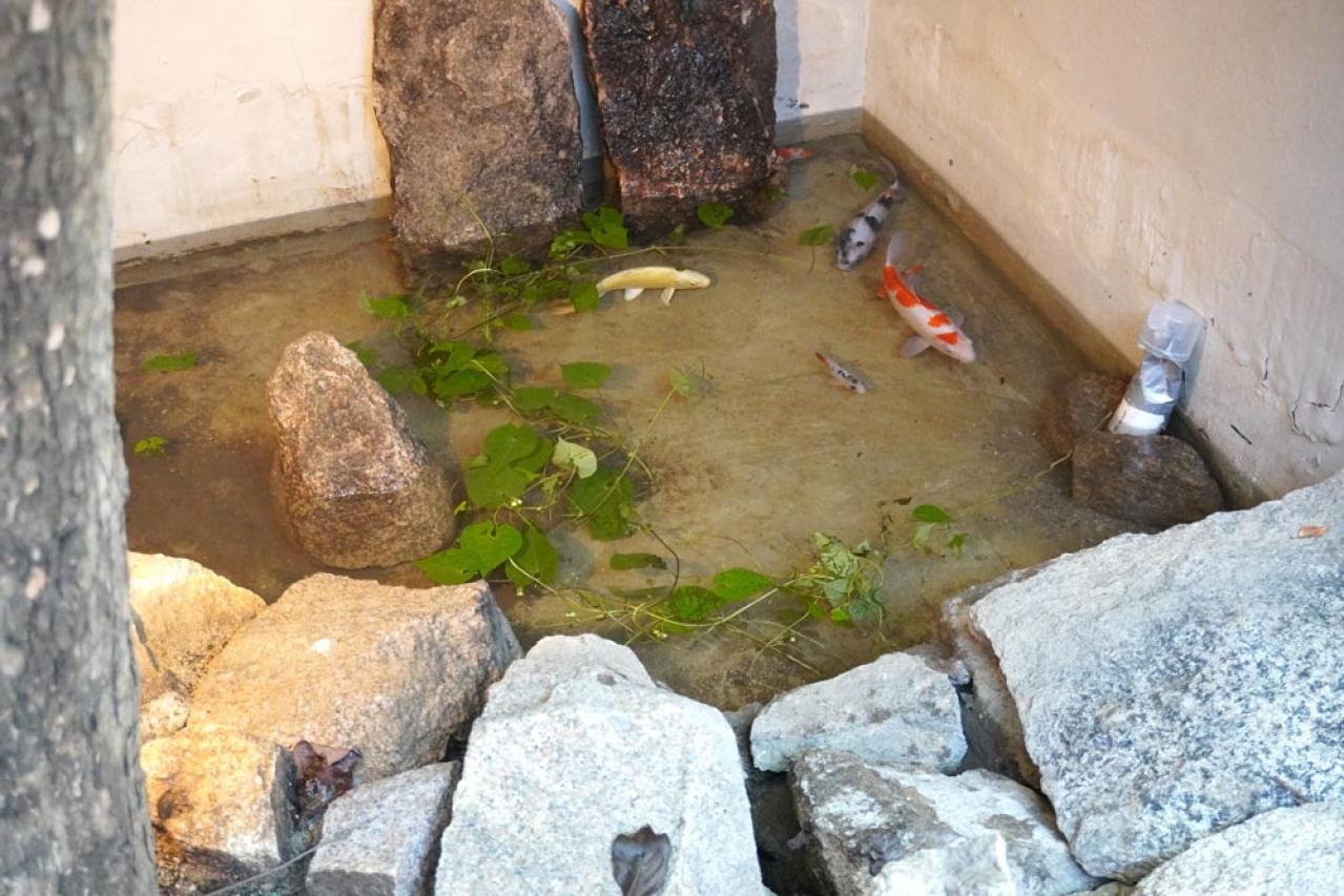 【ソウル・弘大】最新情報　風情たっぷりの韓屋カフェ。ラーメンコンビニや「梨泰院クラス」に登場した居酒屋も！【韓国旅行】  （画像7）