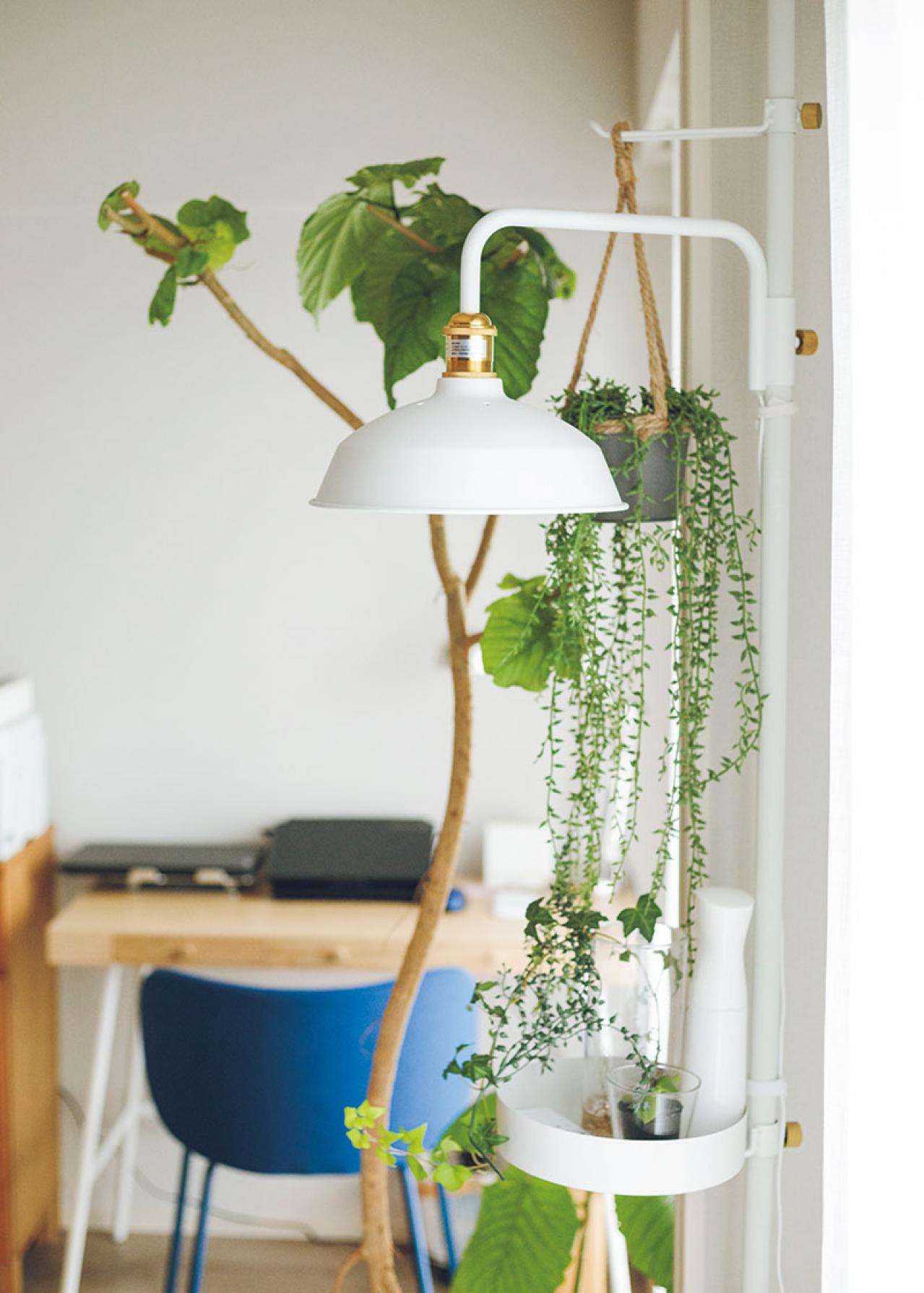 50歳で決意した住み替えは「売りやすさ」「貸しやすさ」を優先！整理収納アドバイザーのお宅拝見（画像4）