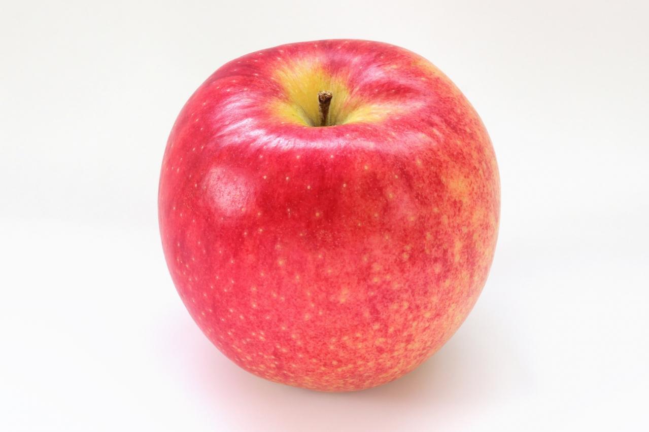 要注意！【便秘】の放置が「腸閉塞」になるかも⁉ 最低でも2日に1回は出す努力を（画像4）