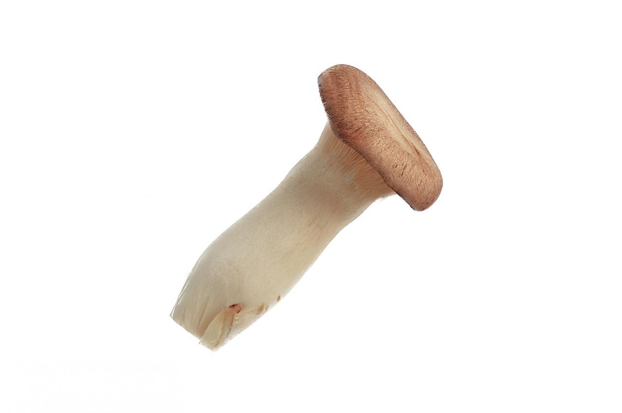 要注意！【便秘】の放置が「腸閉塞」になるかも⁉ 最低でも2日に1回は出す努力を（画像8）