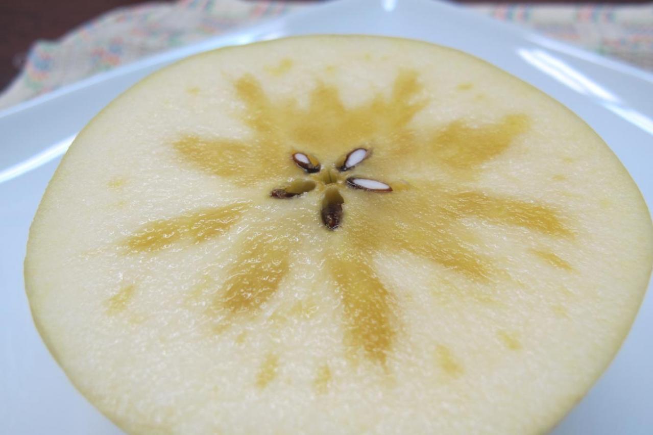 4個で1万円！皮まで美味しい、黄金の濃蜜りんごとは？ 【料理家の人気のお取り寄せ】谷島せい子さん