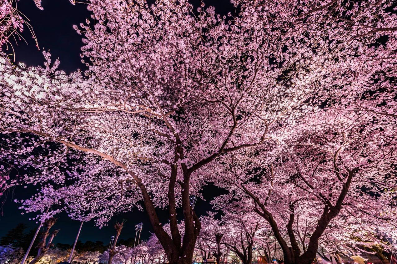 【美しき日々】ミンチョルを選ぶか、それともソンジェか、チェ・ジウになりきって妄想を膨らませる9〜16話【韓国ドラマ】