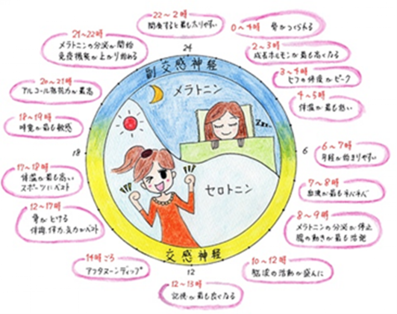 しわ・たるみの原因は「骨」だった!?　現役女優が語る夜の【時間割美容】でハリのある肌が復活！（画像6）