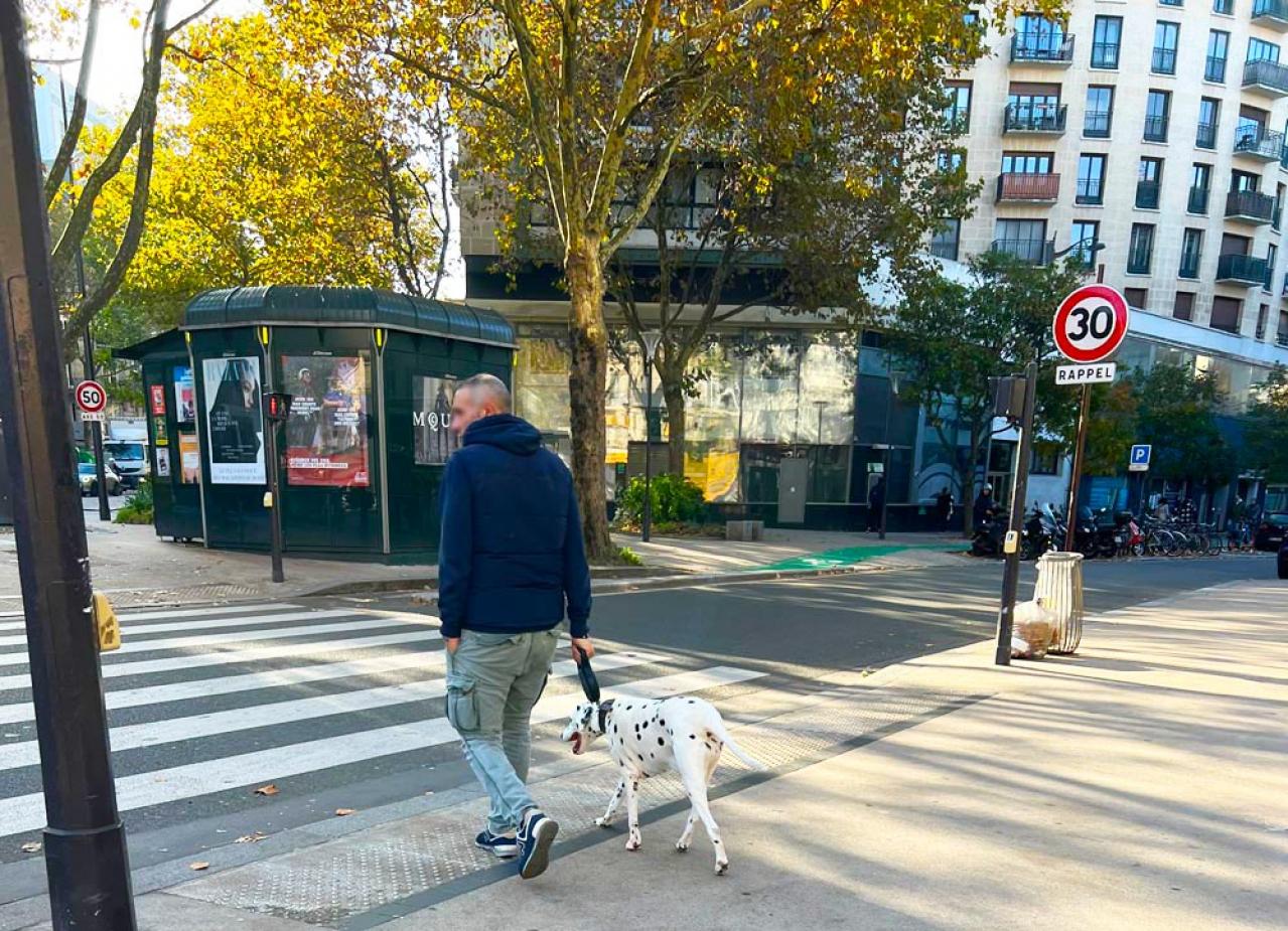 パリの名物といえば道に落ちた犬の…そんなかつての不名誉なイメージを挽回⁉︎ フランスのペットお迎え事情（画像2）