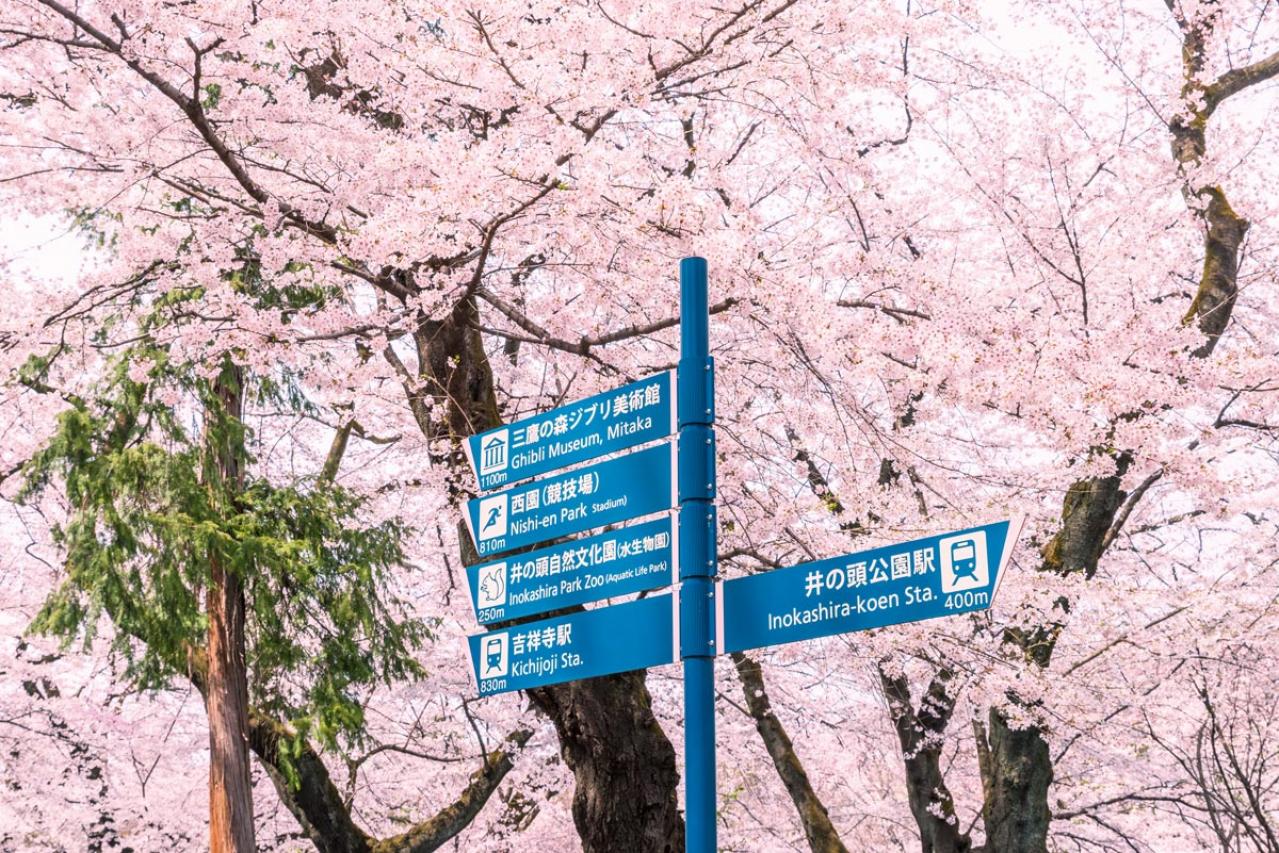 「どんなに乾いたアラ還女子も感涙必至！」坂口健太郎がぐいぐい攻める韓ドラ【愛のあとにくるもの】前編【2024年ドラマレビュー部門TOP5】