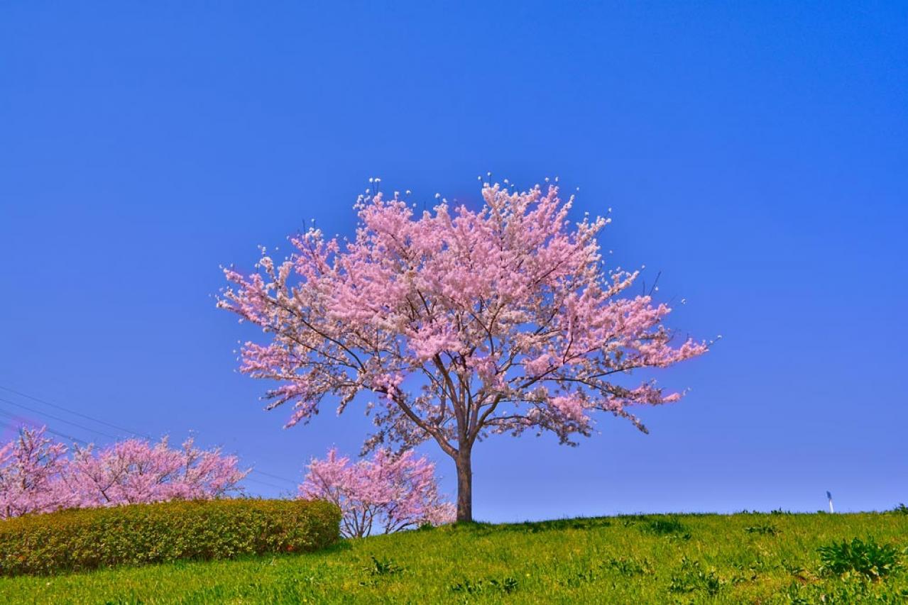 【愛のあとにくるもの】還暦女子視聴記［後編］坂口健太郎に「それはダメ！」と叫んだシーンとは？【韓国ドラマ】（画像3）