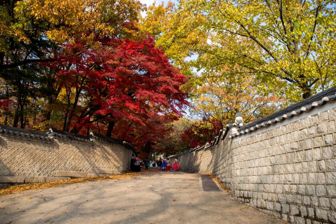 【愛のあとにくるもの】還暦女子視聴記［後編］坂口健太郎に「それはダメ！」と叫んだシーンとは？【韓国ドラマ】（画像2）