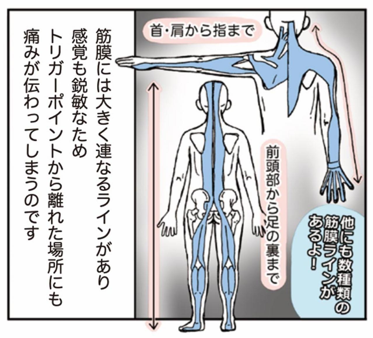 超ほぐれる「トリガーポイント」って一体何？肩こり・息苦しさのお悩みに【マンガでセルフケア】（画像6）