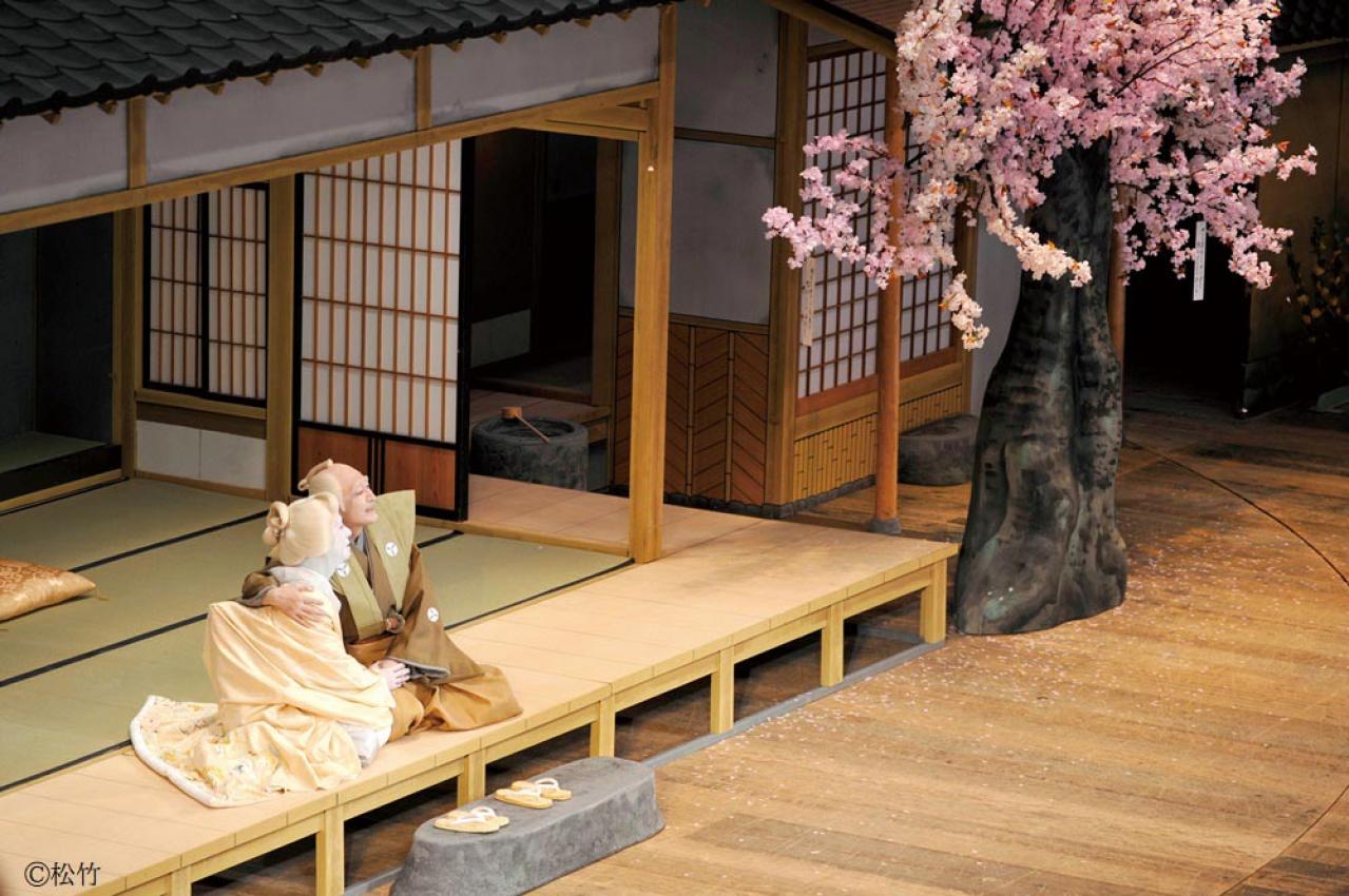 【片岡仁左衛門×坂東玉三郎】おしどり夫婦が37年間離れ離れになったら？【シネマ歌舞伎】『ぢいさんばあさん』が問いかけるものとは（画像5）