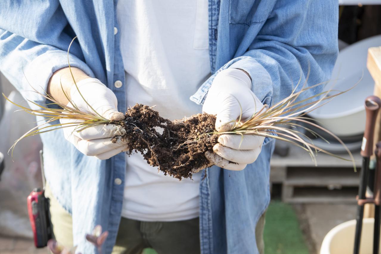 【ガーデニング】人気YouTuber“オニちゃん”の傑作ぞろい！リングバスケット＆寄せ植え（画像19）