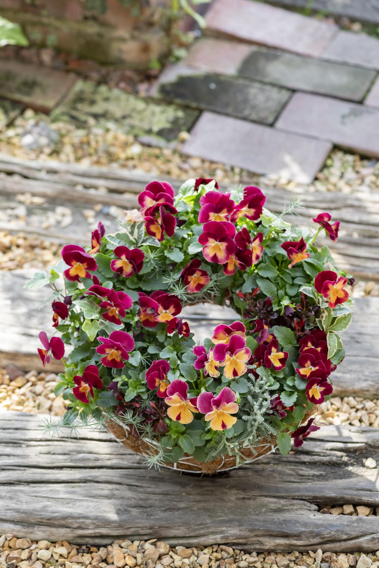 【ガーデニング】人気YouTuber“オニちゃん”の傑作ぞろい！リングバスケット＆寄せ植え（画像2）